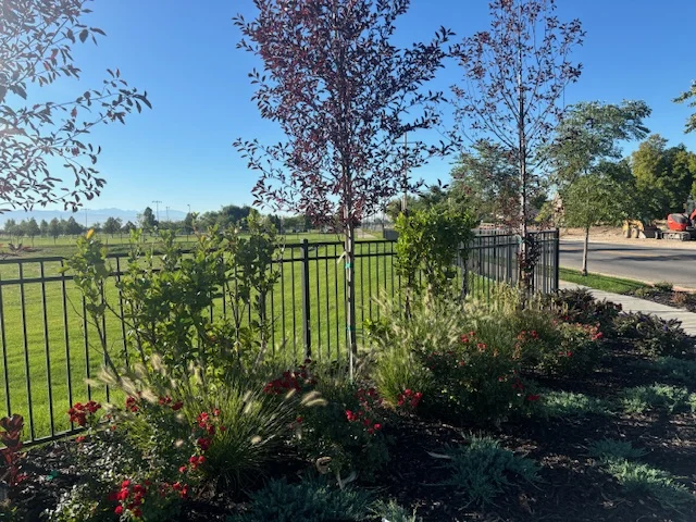 How to Landscape Your Yard to Improve the Look of Your Fence: Simple Landscaping Ideas