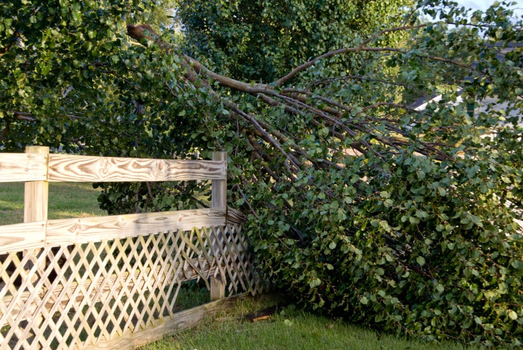 Wind storm damage on your fence