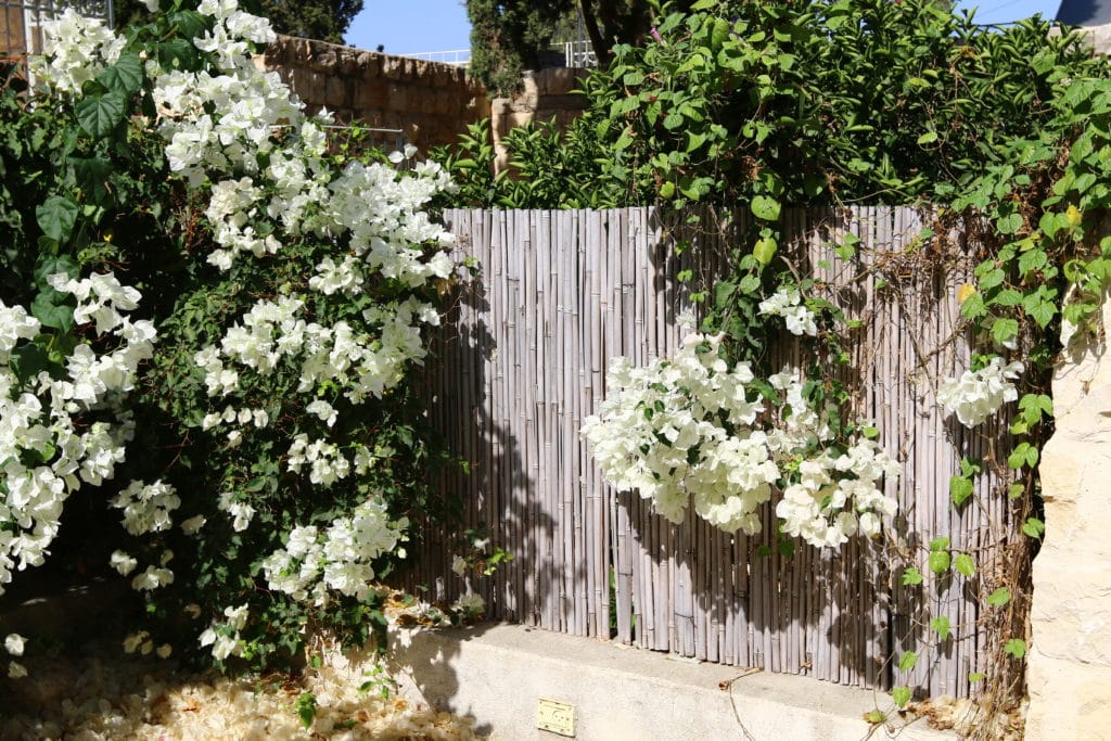 Personalize Your Wood Fence