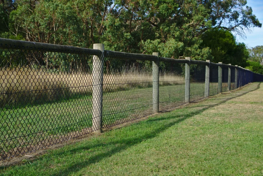 Fencing Options for Your Dog Bronco Fence | Chain Link Fence mesh wired