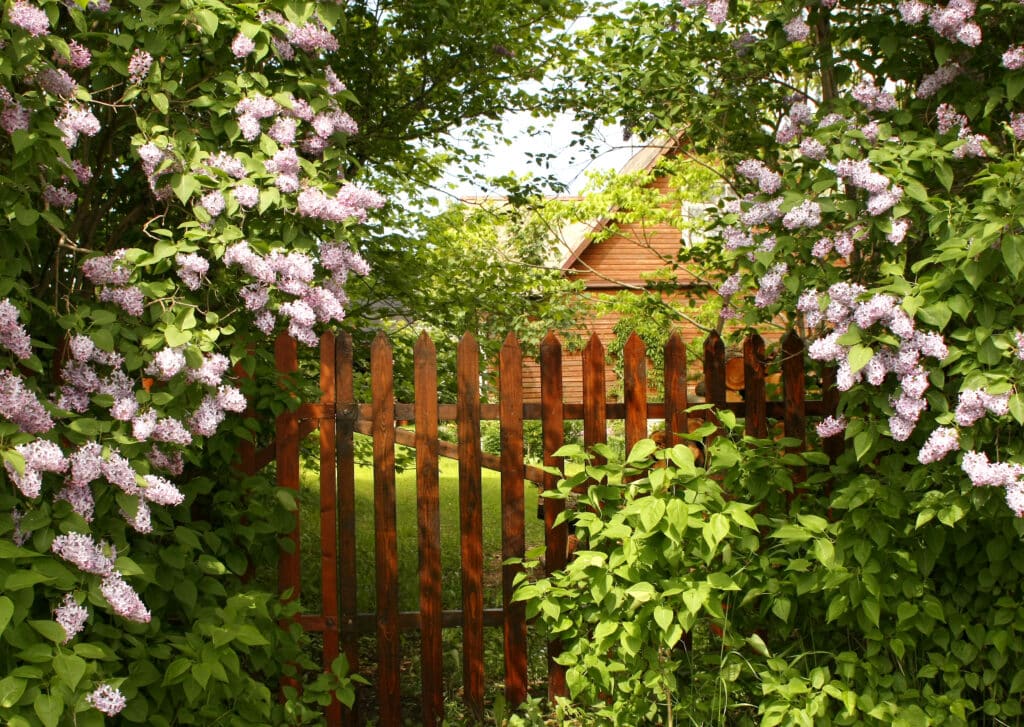 Garden Fencing—Protecting Your Haven