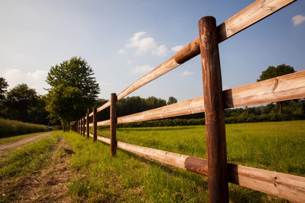A Fence around a meadow highlighted by the sun. livestock fencing
