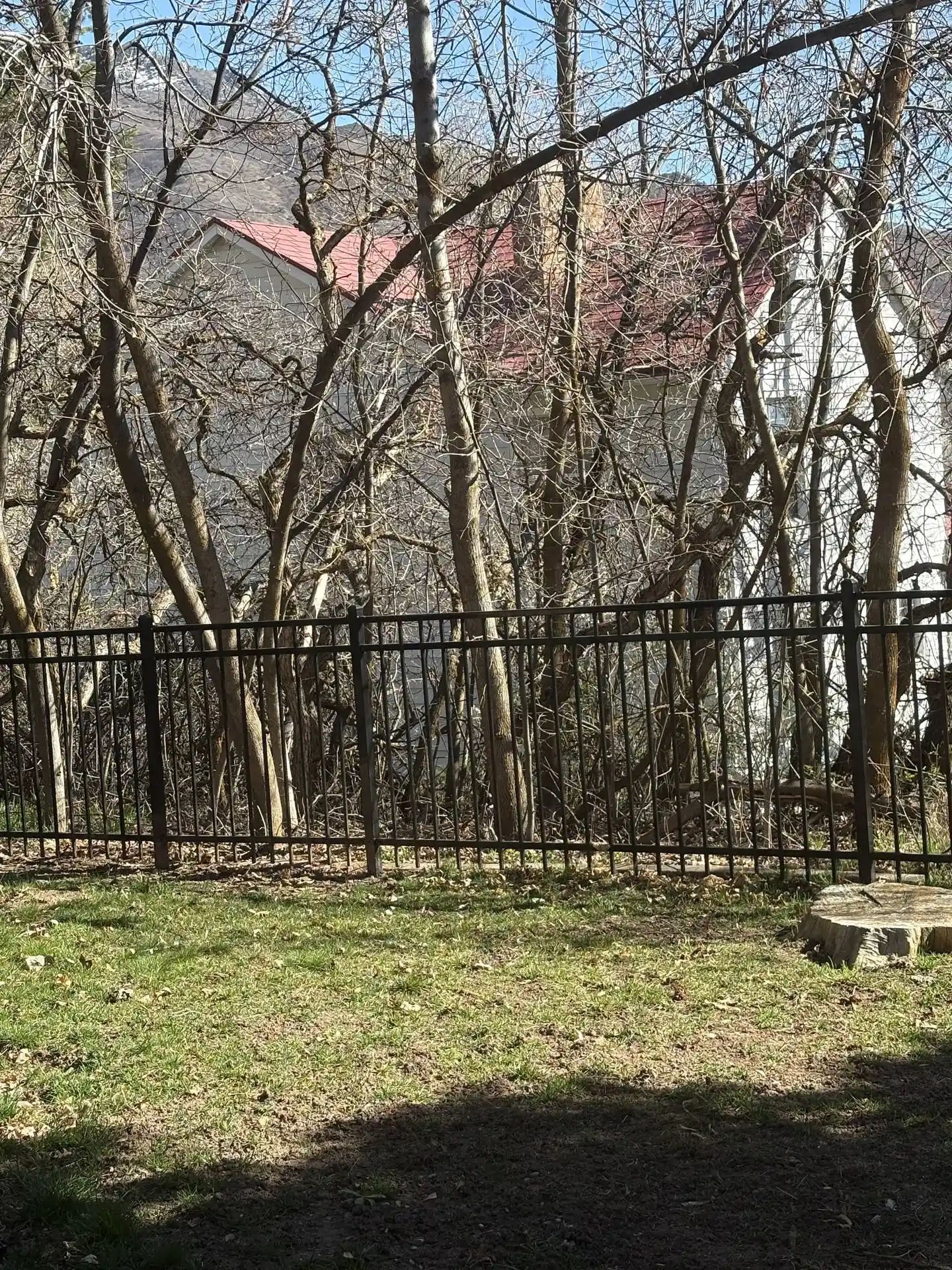 Black Iron Guard Fence & Gates - Layton, UT