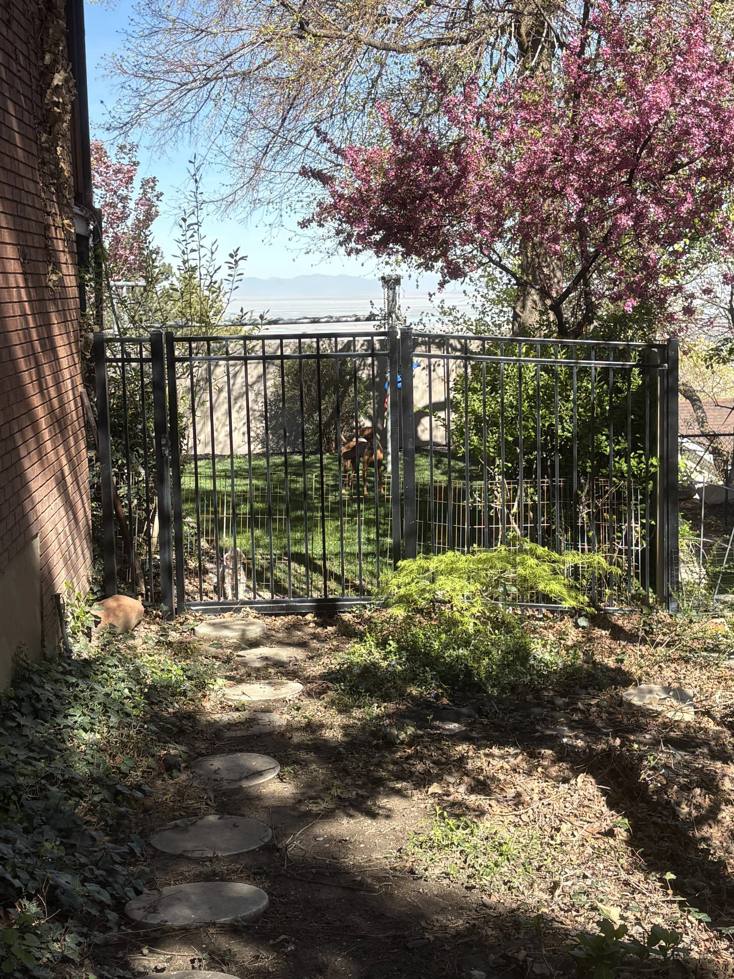 Recent Projects Bountiful Privacy Fence: Clay Vinyl, Aluminum Gate