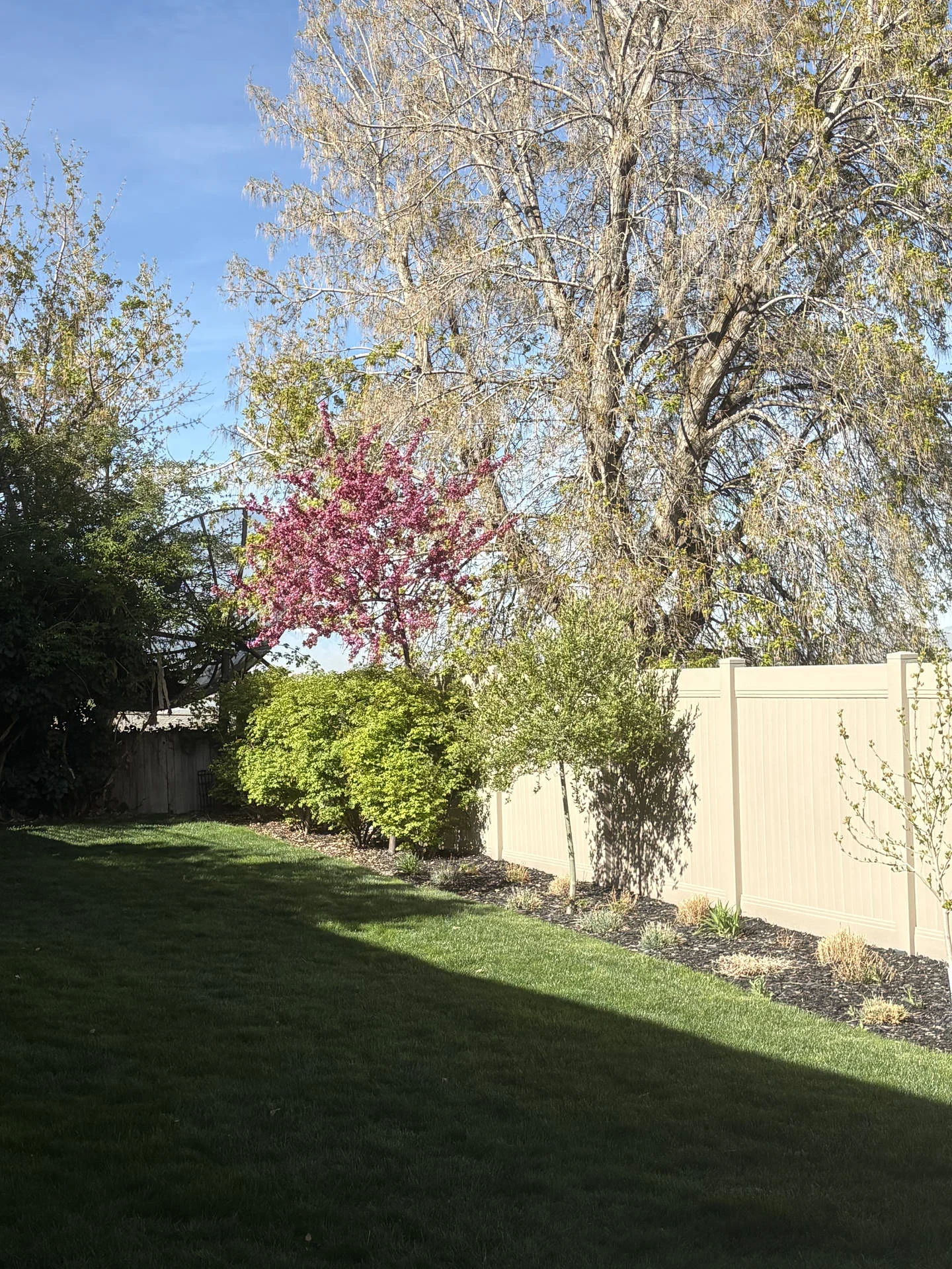Bountiful Privacy Fence: Clay Vinyl, Aluminum Gate