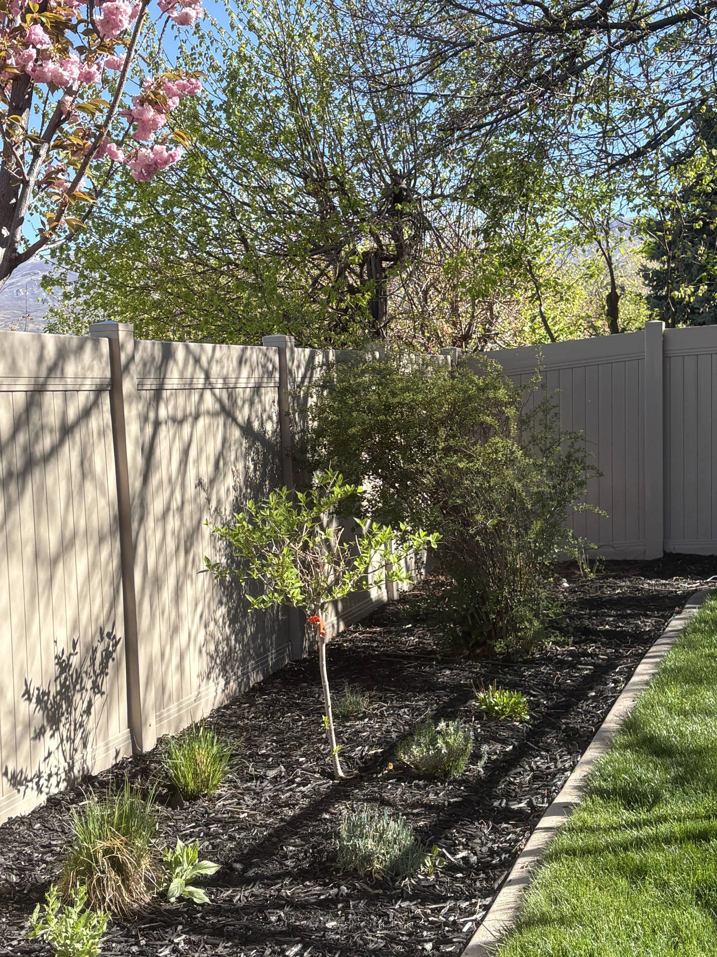 Bountiful Privacy Fence: Clay Vinyl, Aluminum Gate