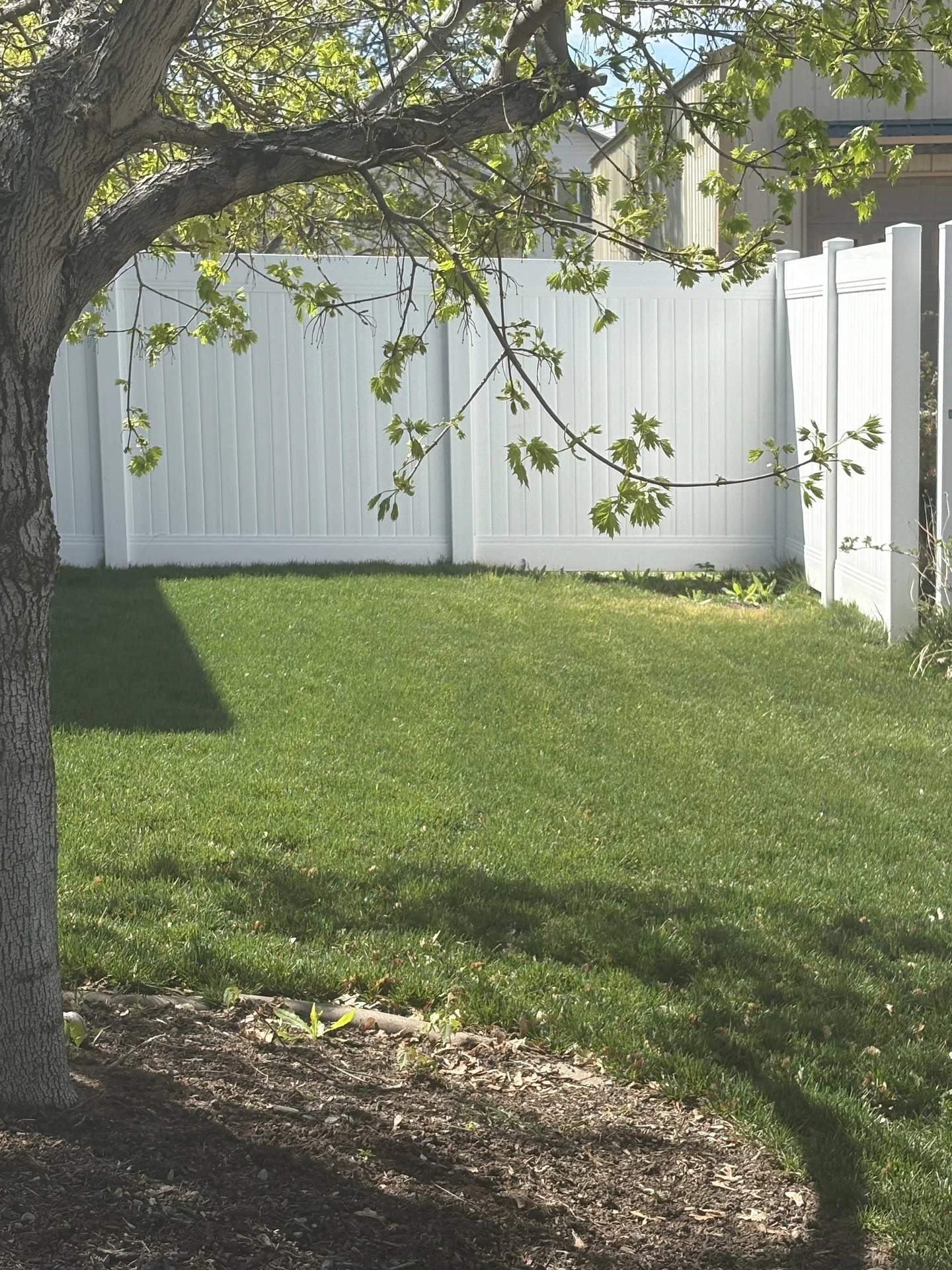 South Weber Privacy Fence: White Vinyl, 6' High