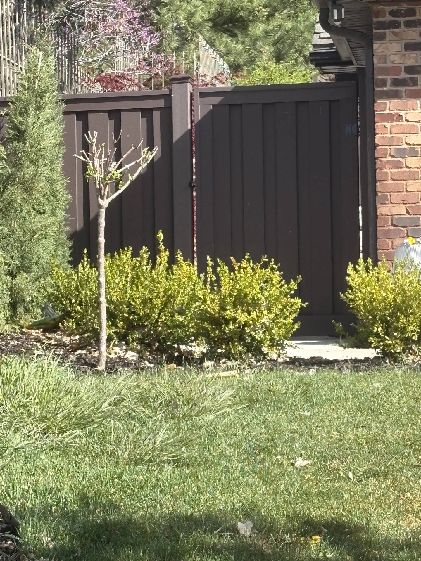Ogden Privacy Fence Upgrade: Trex Seclusion & New Gate