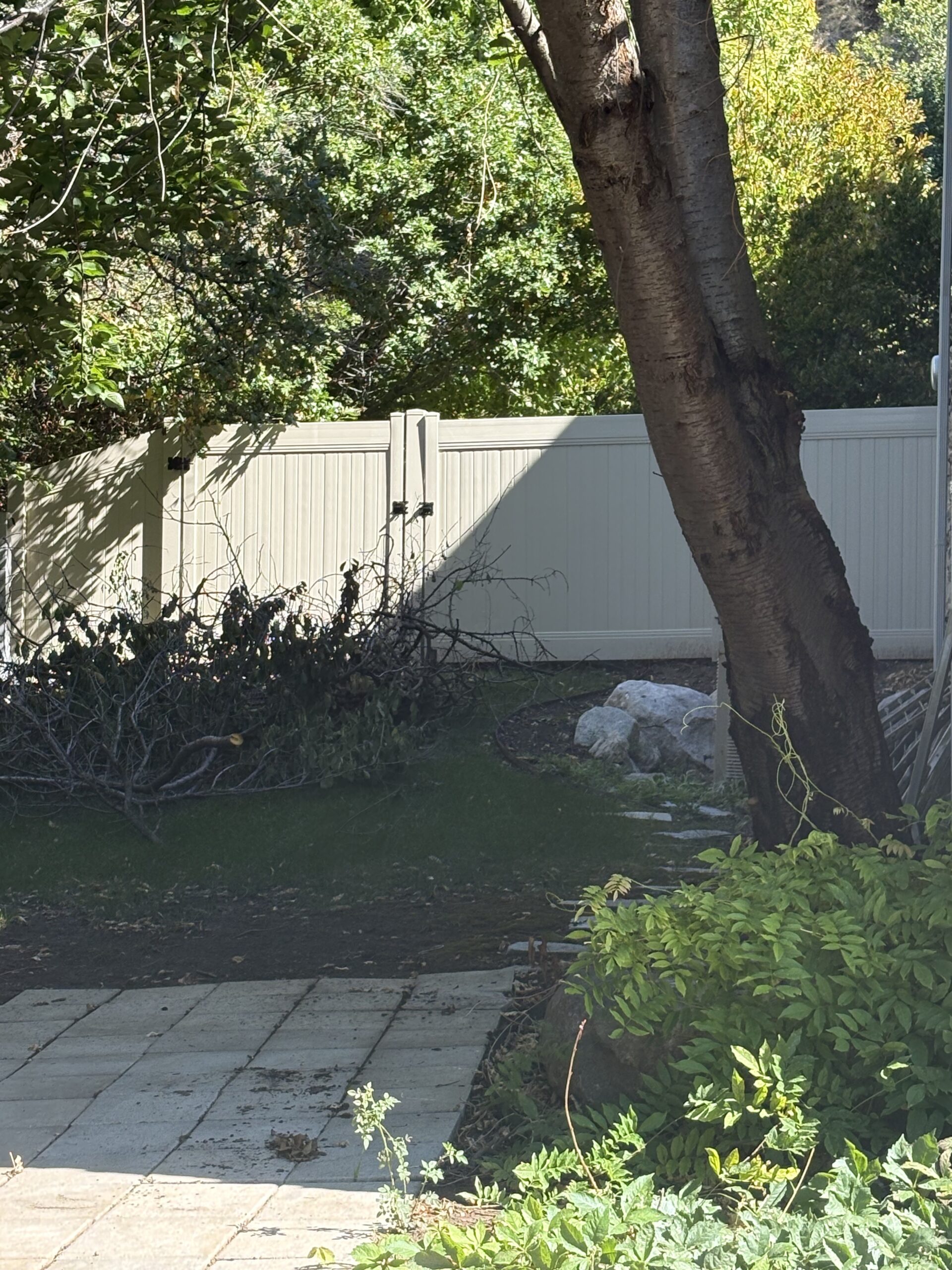 Recent Projects Tan Vinyl Privacy Fence Installation with Gates in Ogden